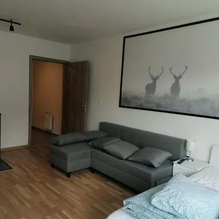 Brand New #31 In Brand New Building With Free Parking In The Center *